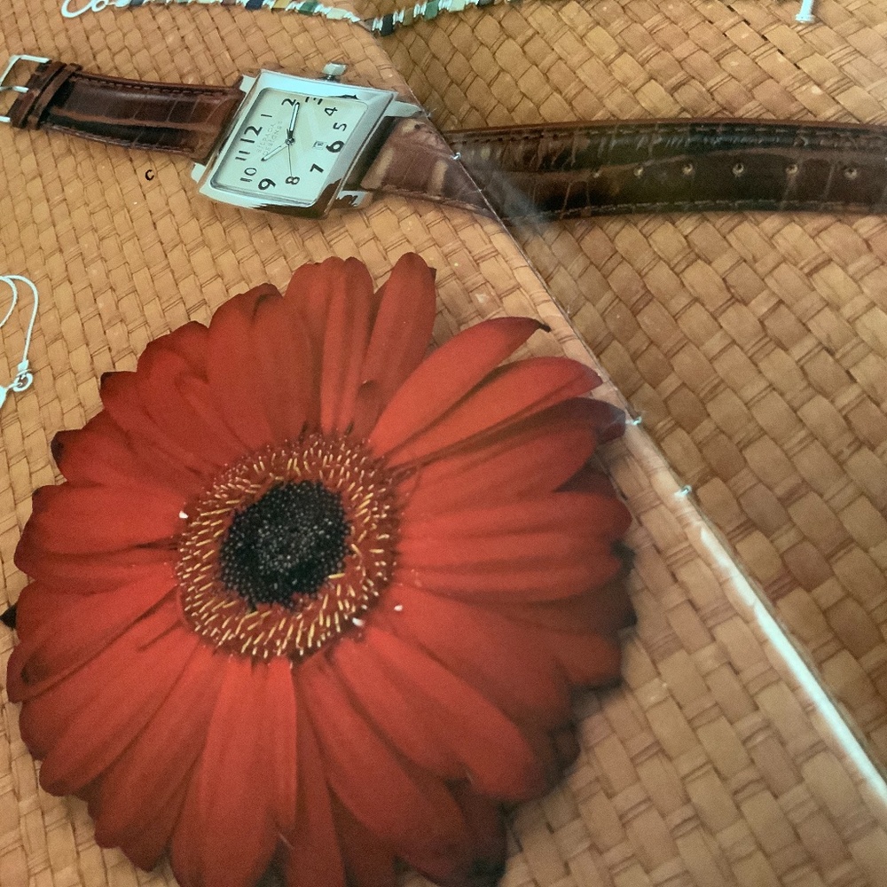 Silpada Watch